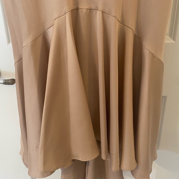 Taylor Champagne Silk Dress - Picture 4 of 4